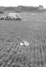 《柳州日报》：无人机助农增收 - 农业机械化信息