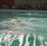 贺州市第四届运动会暨第二届全民健身运动会 游泳、蹼泳比赛开赛 - 省体育局