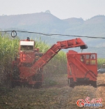 2016中国甘蔗机械化博览会在柳州举办 - 农业机械化信息