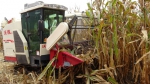 天等县举办玉米机械收割演示会 - 农业机械化信息