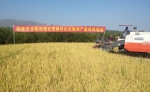 桂林市农机推广站开展水稻育机插秧技术对比试验 - 农业机械化信息