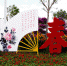 玉林市举办2017元旦花卉盆景展（图） - 建设厅