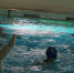 2017年全国优秀女子水球集训成都举行 名将马欢欢领衔广西女水参加 - 省体育局