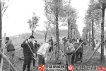 玉林：去年全市完成植树造林26.87万亩 - 广西新闻网