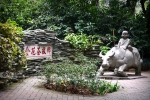 南宁市第六届茶花文化展在南宁市金花茶公园举行 （组图） - 广西新闻网
