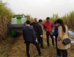 广西农机鉴定站甘蔗机械试验检测鉴定基地建设初显成效 - 农业机械化信息