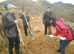 南丹县农机局积极参加兴修水利和植树绿化活动 - 农业机械化信息