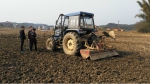 鹿寨：积极行动 打牢甘蔗“双高”基地建设基础 - 农业机械化信息