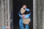 揭秘熊猫保姆工作内幕 不只是被抱大腿 - 广西新闻网