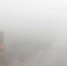 北海春雨纷纷 雨雾袅绕 - 广西新闻网
