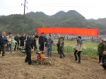 那坡县农机局举办新机具推广演示会 - 农业机械化信息