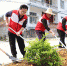 自治区红十字会赴隆安县开展植树暨修水利活动（图） - 红十字会