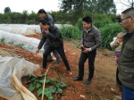 贵港市农机局科技特派员下乡指导蔬菜种植技术助农户增收 - 农业机械化信息