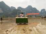 大新县举办水稻机械化插秧现场演示会 - 农业机械化信息