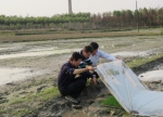 临桂区农机局领导检查指导合作社育秧 - 农业机械化信息