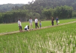 钦州市农机技术推广站到浦北县检查水稻田间管理工作 - 农业机械化信息