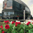 上海一商圈3万朵7色奥斯汀玫瑰为“520”添爱意 - 广西新闻网