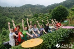 在故乡有机茶园举办油纸伞·风车节上，游客在有机茶园间拍照留念 - 广西新闻网