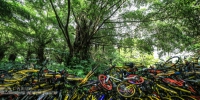 高清：南宁南湖公园上百辆共享单车“叠罗汉” - 广西新闻网