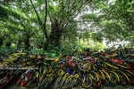高清：南宁南湖公园上百辆共享单车“叠罗汉” - 广西新闻网