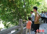 图为游客驻足观赏象鼻山。　唐梦宪 摄 - 广西新闻