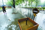 图为莲花池东路的“宠物厕所”，建成至今使用率很低。 - 广西新闻网