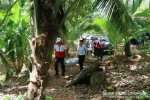 中国红十字国际救援队2017斯里兰卡救援（九）（图） - 红十字会