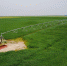 （环境）（1）科尔沁沙地上飘动着“绿海” - 广西新闻网