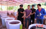 广西河池警方侦破特大制毒案件堪称“广西公安缉毒史之最” - 广西新闻