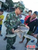 图为边防派出所官兵和渔民救助受伤海龟。　吴伟 摄 - 广西新闻网