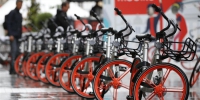 （国际）（1）中国共享单车进军英国曼彻斯特 - 广西新闻网