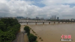 资料图：7月3日，因受连日暴雨影响，广西柳江河柳州段出现超警戒水位。王以照 摄 - 广西新闻