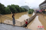 7月3日，受连日强降雨影响，广西柳州市区柳江河水位暴涨，部分沿江路段被洪水淹没。当天4时50分许，柳江柳州水文站出现85.56米左右的洪峰水位(警戒水位82.5米)。当地民众在洪水里划皮划艇放网捕鱼、自拍、洗车。目前，洪峰已过境，柳江柳州市区水位在不断下降。图为当地民众在被洪水淹没路段拍照。 林馨 摄 - 广西新闻