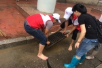 水退人进 柳州市红十字志愿者积极参与河堤清淤（图） - 红十字会
