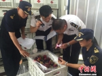 广西钦州保税港区进境水果指定口岸正式运营 - 广西新闻
