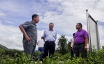 自治区优质特色农作物机械化项目督查组到金秀县督查 - 农业机械化信息