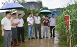 自治区农机局督查组到武宣县指导项目建设工作 - 农业机械化信息