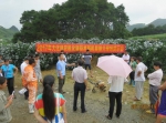 大化县农机局举办农机新技术新机具推介现场演示会 - 农业机械化信息