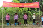 那坡县农机局联合县妇联开展妇女割灌机使用比赛活动 - 农业机械化信息