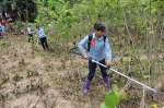 那坡县农机局联合县妇联开展妇女割灌机使用比赛活动 - 农业机械化信息
