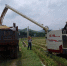 岑溪市开展水稻耕种收机械收割现场演示 - 农业机械化信息