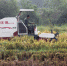 【宁明】农机专业合作社“双抢”大显身手 - 农业机械化信息