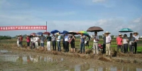 平南县举办水稻生产全程机械化机插秧现场会 - 农业机械化信息