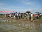 平南县举办水稻生产全程机械化机插秧现场会 - 农业机械化信息