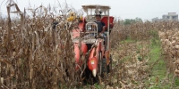 都安县农机局举办玉米机收现场培训活动 - 农业机械化信息