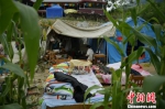 地震后民众搭建的临时休息地。　刘忠俊 摄 - 广西新闻网