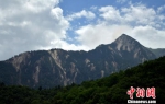 地震导致山体受伤严重。　刘忠俊 摄 - 广西新闻网