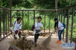 （社会）（4）云南西双版纳举行世界大象日活动 - 广西新闻网
