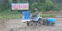 【港口区】推进农业生产机械化 水稻直播技术日趋成熟 - 农业机械化信息