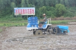 【港口区】推进农业生产机械化 水稻直播技术日趋成熟 - 农业机械化信息